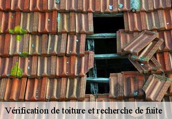 Vérification de toiture et recherche de fuite  bohain-en-vermandois-02110 M.Reinhardt