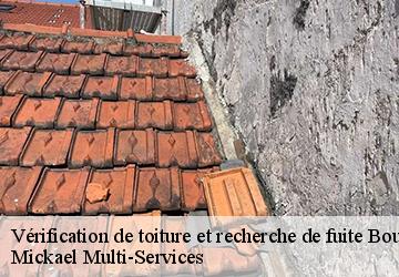 Vérification de toiture et recherche de fuite bouffignereux-02160 Mickael Multi-Services