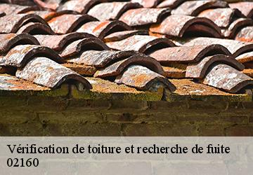 Vérification de toiture et recherche de fuite 02160