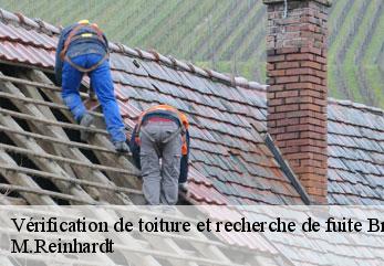 Vérification de toiture et recherche de fuite  braine-02220 M.Reinhardt
