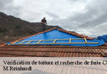 Vérification de toiture et recherche de fuite  chassemy-02370 M.Reinhardt