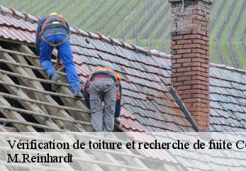 Vérification de toiture et recherche de fuite concevreux-02160 M.Reinhardt