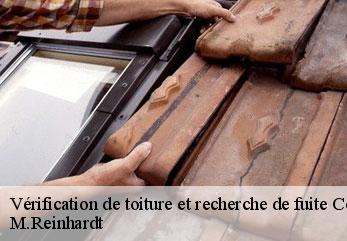 Vérification de toiture et recherche de fuite courmelles-02200 M.Reinhardt