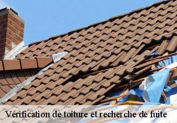 Vérification de toiture et recherche de fuite  crouy-02880 M.Reinhardt