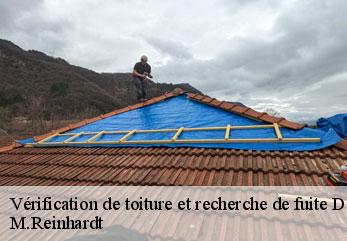 Vérification de toiture et recherche de fuite  dagny-lambercy-02140 M.Reinhardt