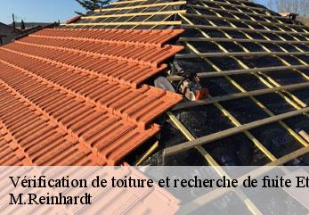 Vérification de toiture et recherche de fuite  etreillers-02590 M.Reinhardt
