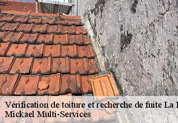Vérification de toiture et recherche de fuite la-flamengrie-02260 Mickael Multi-Services