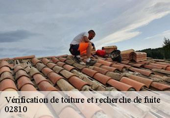 Vérification de toiture et recherche de fuite  gandelu-02810 M.Reinhardt