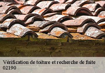 Vérification de toiture et recherche de fuite  02190