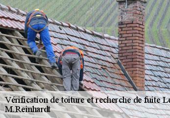 Vérification de toiture et recherche de fuite  lerzy-02260 M.Reinhardt