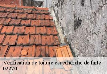 Vérification de toiture et recherche de fuite  montigny-sur-crecy-02270 M.Reinhardt
