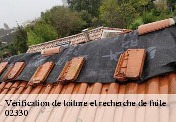 Vérification de toiture et recherche de fuite  montlevon-02330 M.Reinhardt