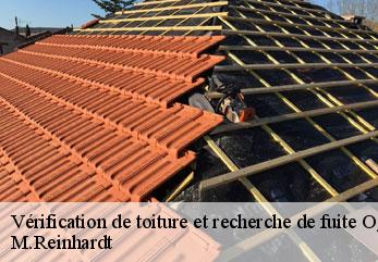 Vérification de toiture et recherche de fuite  ognes-02300 M.Reinhardt