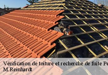 Vérification de toiture et recherche de fuite  petit-verly-02630 M.Reinhardt