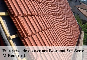 Entreprise de couverture  bosmont-sur-serre-02250 M.Reinhardt