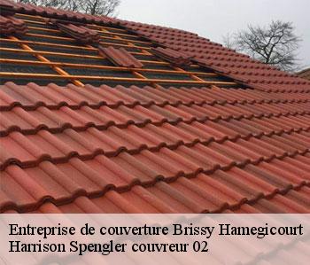 Entreprise de couverture  brissy-hamegicourt-02240 Harrison Spengler couvreur 02