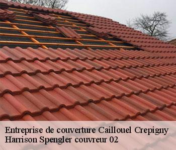 Entreprise de couverture  caillouel-crepigny-02300 Harrison Spengler couvreur 02
