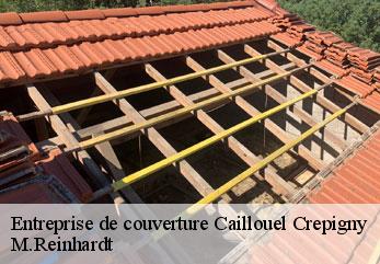 Entreprise de couverture  caillouel-crepigny-02300 M.Reinhardt