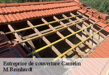 Entreprise de couverture camelin-02300 M.Reinhardt