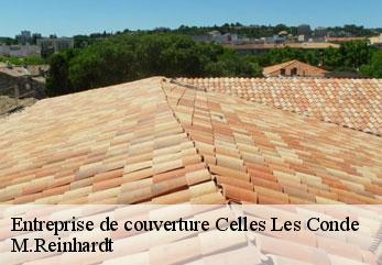 Entreprise de couverture  celles-les-conde-02330 M.Reinhardt