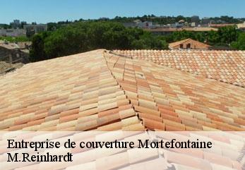 Entreprise de couverture  mortefontaine-02600 M.Reinhardt