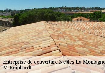 Entreprise de couverture  nesles-la-montagne-02400 M.Reinhardt