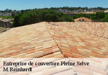 Entreprise de couverture  pleine-selve-02240 M.Reinhardt