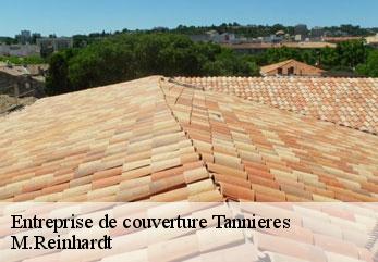Entreprise de couverture  tannieres-02220 M.Reinhardt