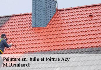 Peinture sur tuile et toiture  acy-02200 M.Reinhardt