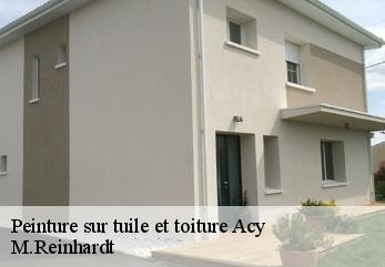 Peinture sur tuile et toiture  acy-02200 M.Reinhardt
