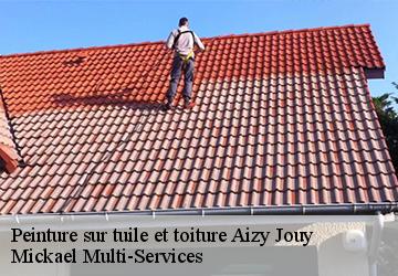 Peinture sur tuile et toiture aizy-jouy-02370 Mickael Multi-Services
