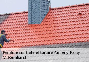 Peinture sur tuile et toiture  amigny-rouy-02700 M.Reinhardt