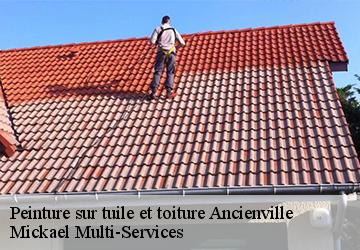 Peinture sur tuile et toiture ancienville-02600 Mickael Multi-Services