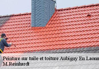 Peinture sur tuile et toiture aubigny-en-laonnois-02820 M.Reinhardt