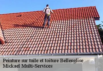 Peinture sur tuile et toiture bellenglise-02420 Mickael Multi-Services