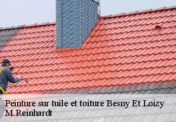 Peinture sur tuile et toiture  besny-et-loizy-02870 M.Reinhardt