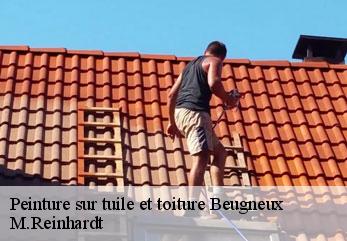 Peinture sur tuile et toiture beugneux-02210 M.Reinhardt