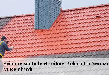Peinture sur tuile et toiture bohain-en-vermandois-02110 M.Reinhardt