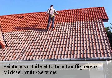 Peinture sur tuile et toiture bouffignereux-02160 Mickael Multi-Services