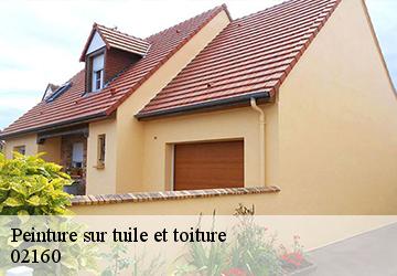 Peinture sur tuile et toiture 02160