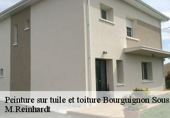 Peinture sur tuile et toiture  bourguignon-sous-coucy-02300 M.Reinhardt