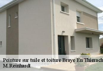 Peinture sur tuile et toiture braye-en-thierache-02140 M.Reinhardt