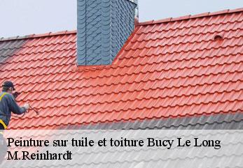 Peinture sur tuile et toiture  bucy-le-long-02880 M.Reinhardt