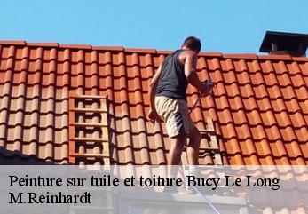 Peinture sur tuile et toiture  bucy-le-long-02880 M.Reinhardt