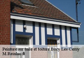 Peinture sur tuile et toiture  bucy-les-cerny-02870 M.Reinhardt