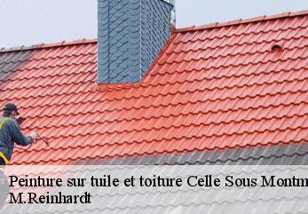 Peinture sur tuile et toiture  celle-sous-montmirail-02540 M.Reinhardt
