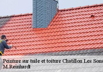 Peinture sur tuile et toiture chatillon-les-sons-02270 M.Reinhardt