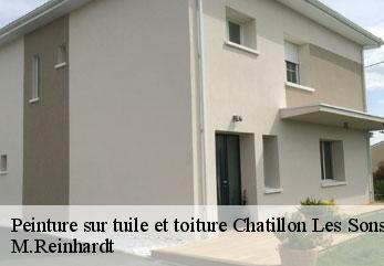Peinture sur tuile et toiture  chatillon-les-sons-02270 M.Reinhardt
