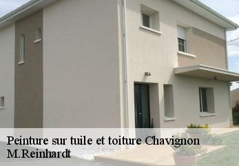 Peinture sur tuile et toiture chavignon-02000 M.Reinhardt