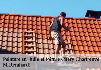 Peinture sur tuile et toiture chery-chartreuve-02220 M.Reinhardt